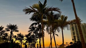 FullSizeRender 50 (Copy)